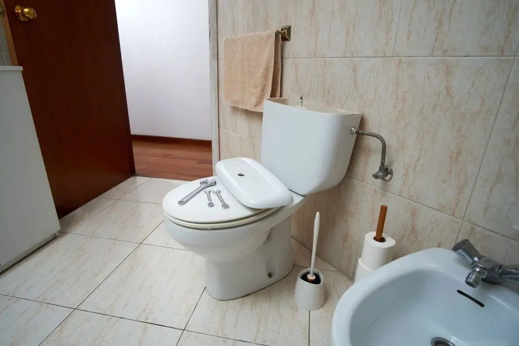 Toilet right after being installed.